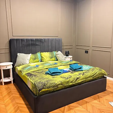 Mirvana Heritage Old Town Apartament Timișoara